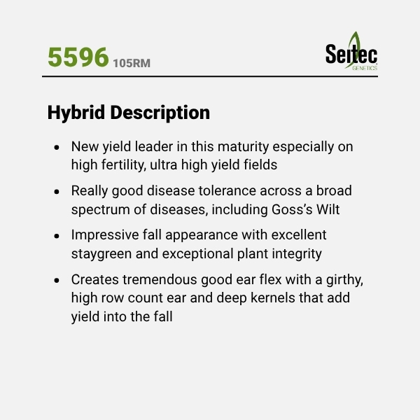 5596 - HD