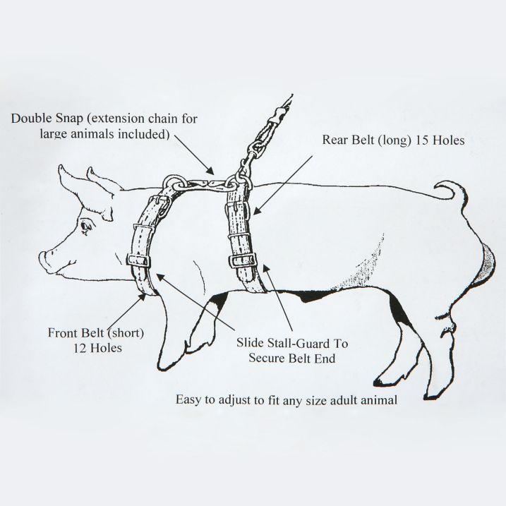 Al Boar Harness diagram