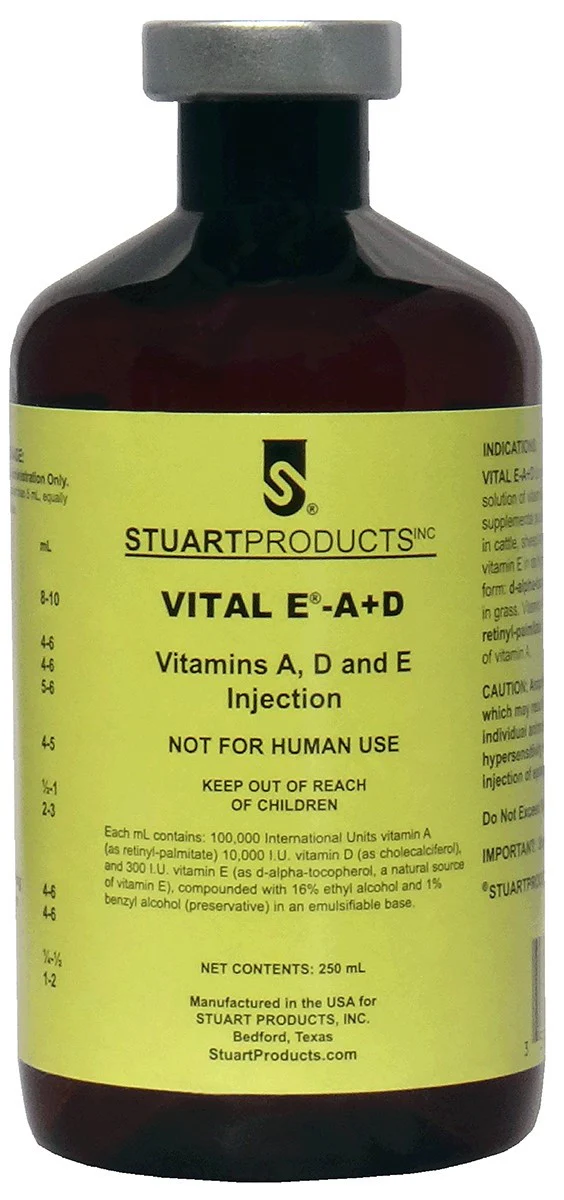 vital-e---ad