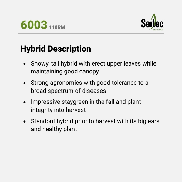 6003 - HD