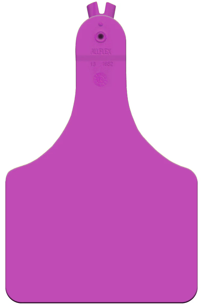 allflex-atag--cow--blank--purple