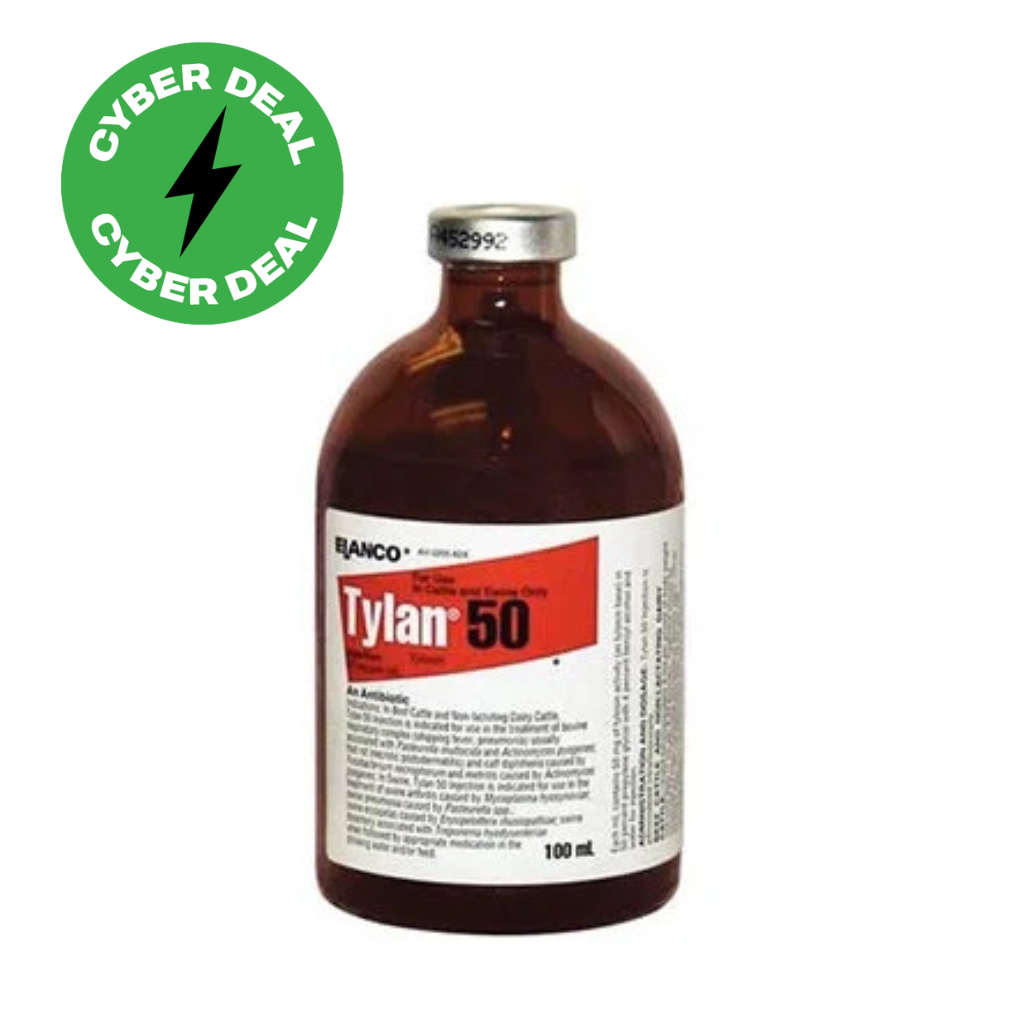 Tylan 50 Cyber Deal