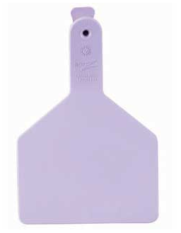 Z Tag Z1 Cow, Blank Purple Tag