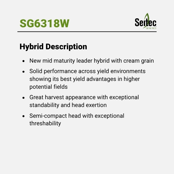 SG6318W - HD