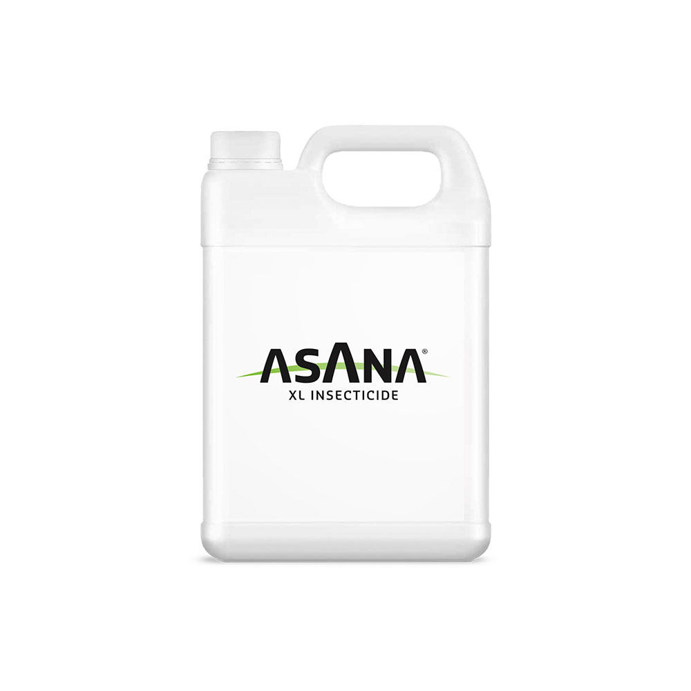 asana-r-xl