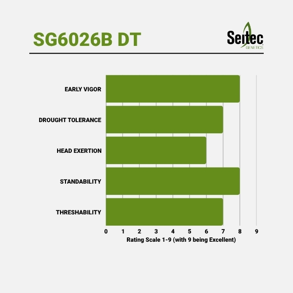 SG6026B DT - Chart