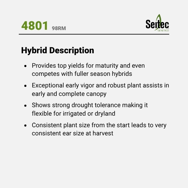 4801 - HD