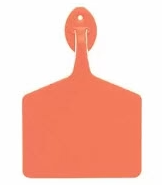 Allflex Feedlot, Blank, 50 Count (Dark Orange)