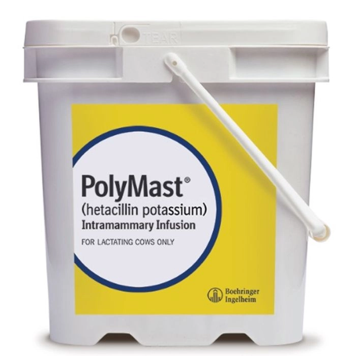 polymast--144ct