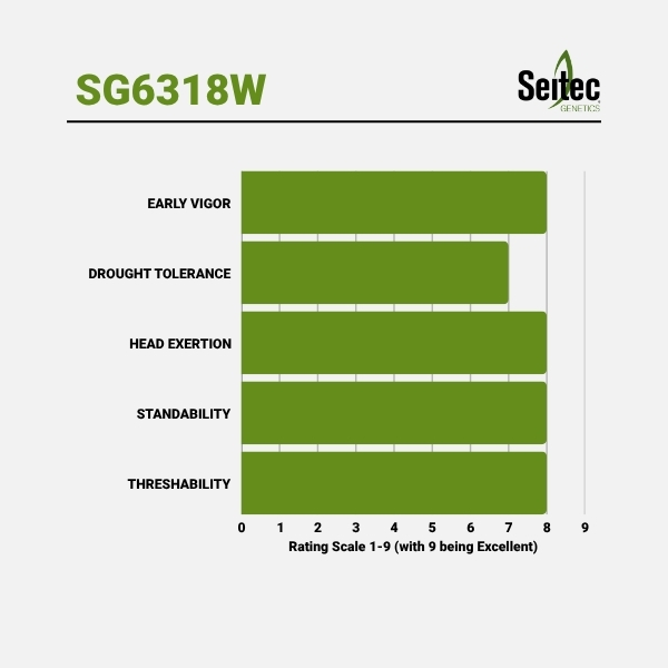 SG6318W - Chart