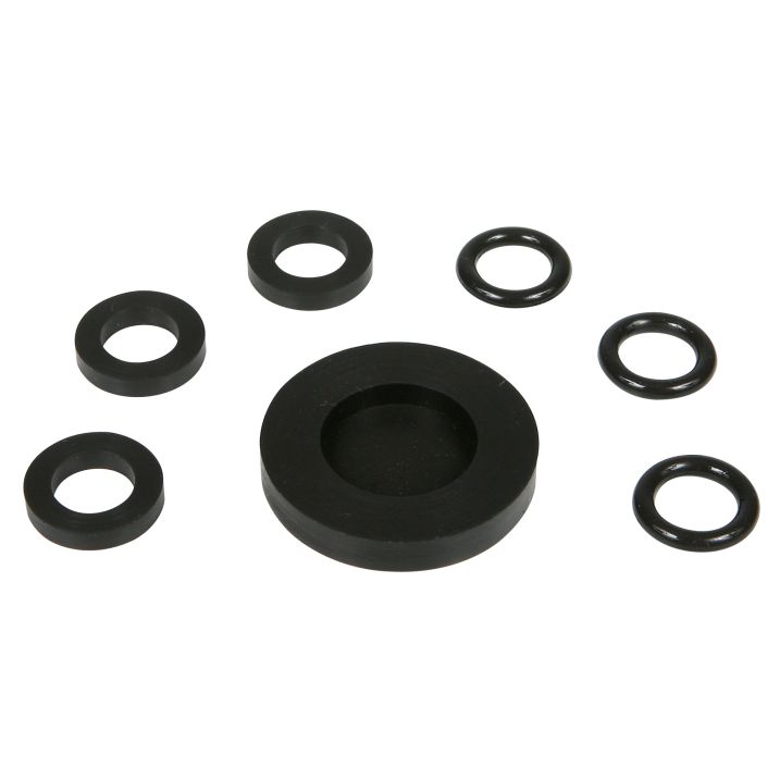 Chemilizer 1- Pump O-Ring Repair Kit (FG9910)