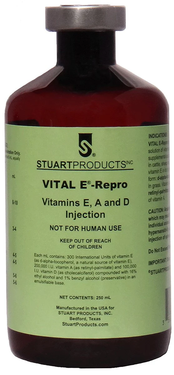 vital-e---repro-injection