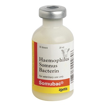 Somubac®, 10 Dose