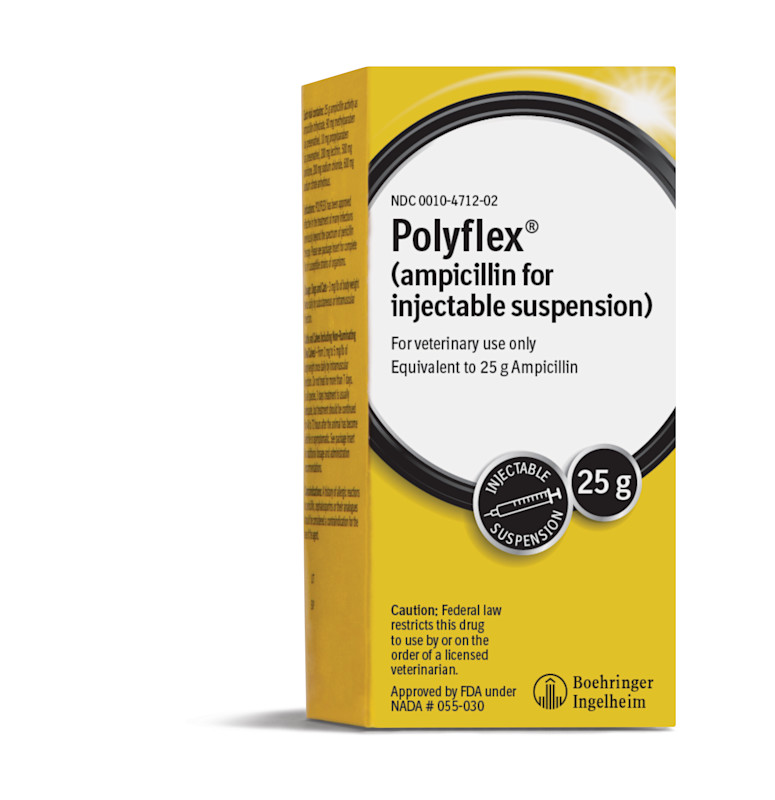 Polyflex