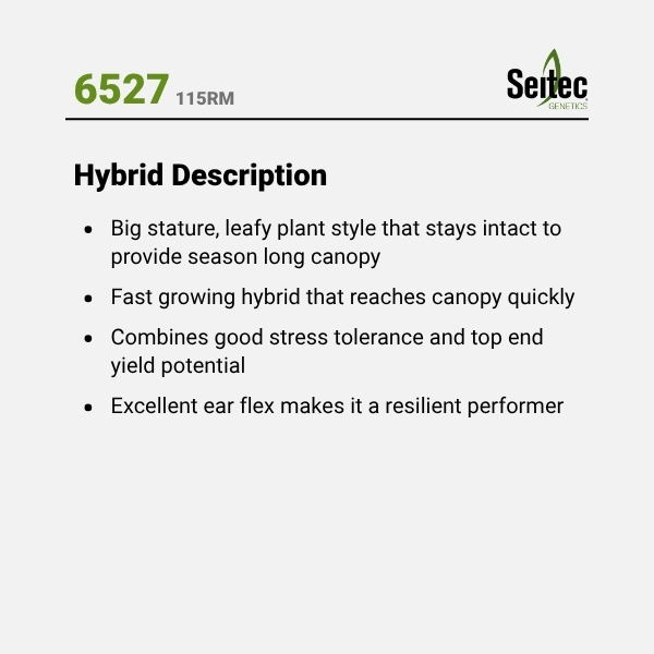 6527 - HD