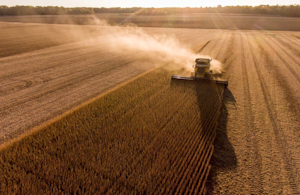 Hero Image: FBN℠ Profit Center Helps This Indiana Farmer Evaluate Current Bids for His Grain