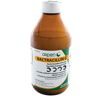 Bactracillin 250mL