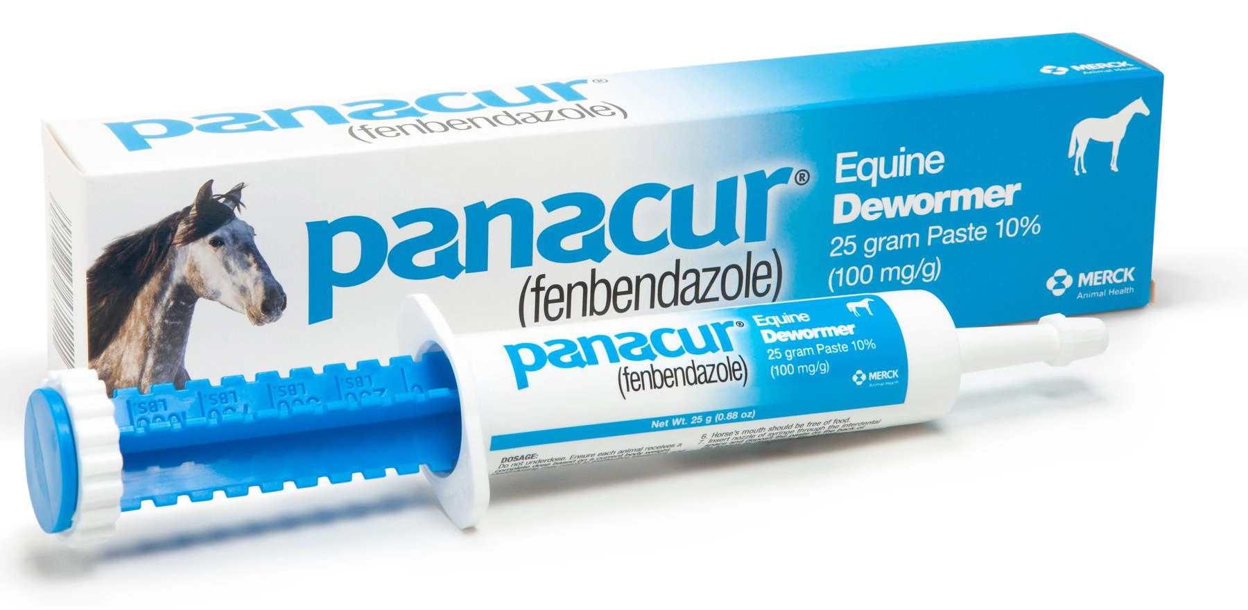 Panacur Equine Dewormer Paste, 25 g