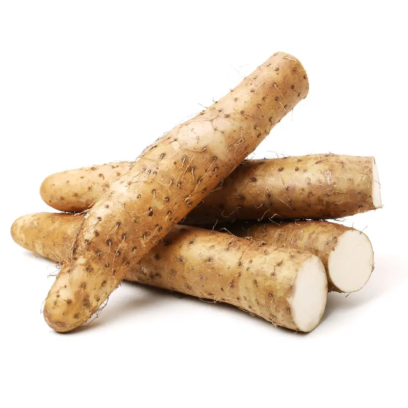 Ingredient - Wild Yam Root