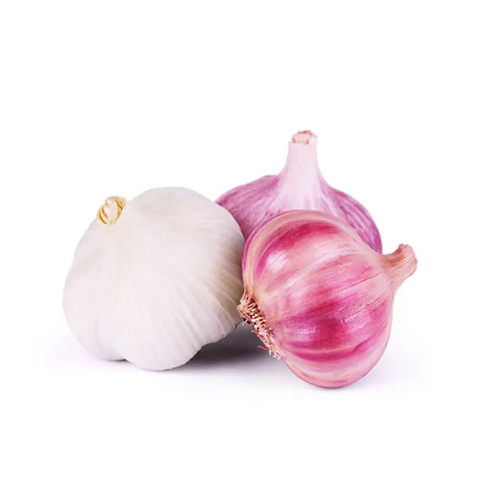 Ingredient - Garlic