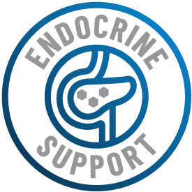 Endocrine System Support