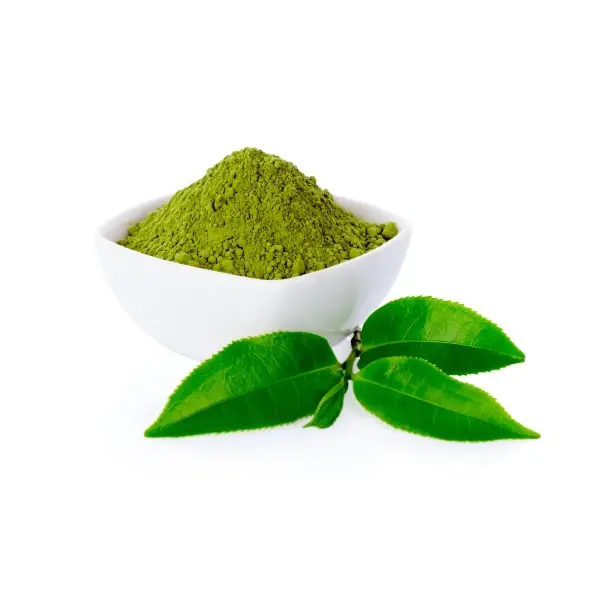 Green Tea Extract