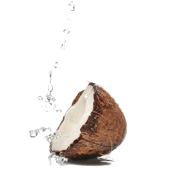 Ingredient - Coconut Water