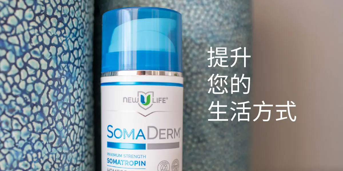 Soma Lift your LifeStyle Korea