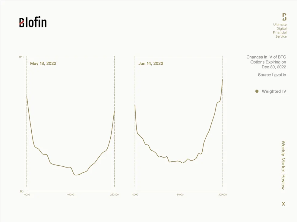 Deribit_Insights - Weekly Market Review From Blofin: Ebb and Flow - Image (8/9)