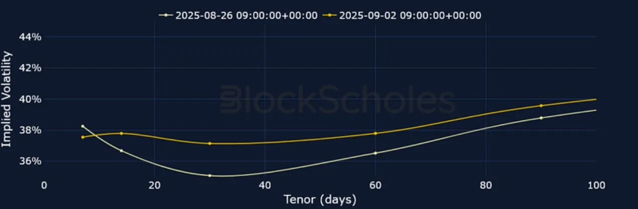 Deribit_Insights - Crypto Derivatives: Analytics Report – Week 36 - Image (8/25)