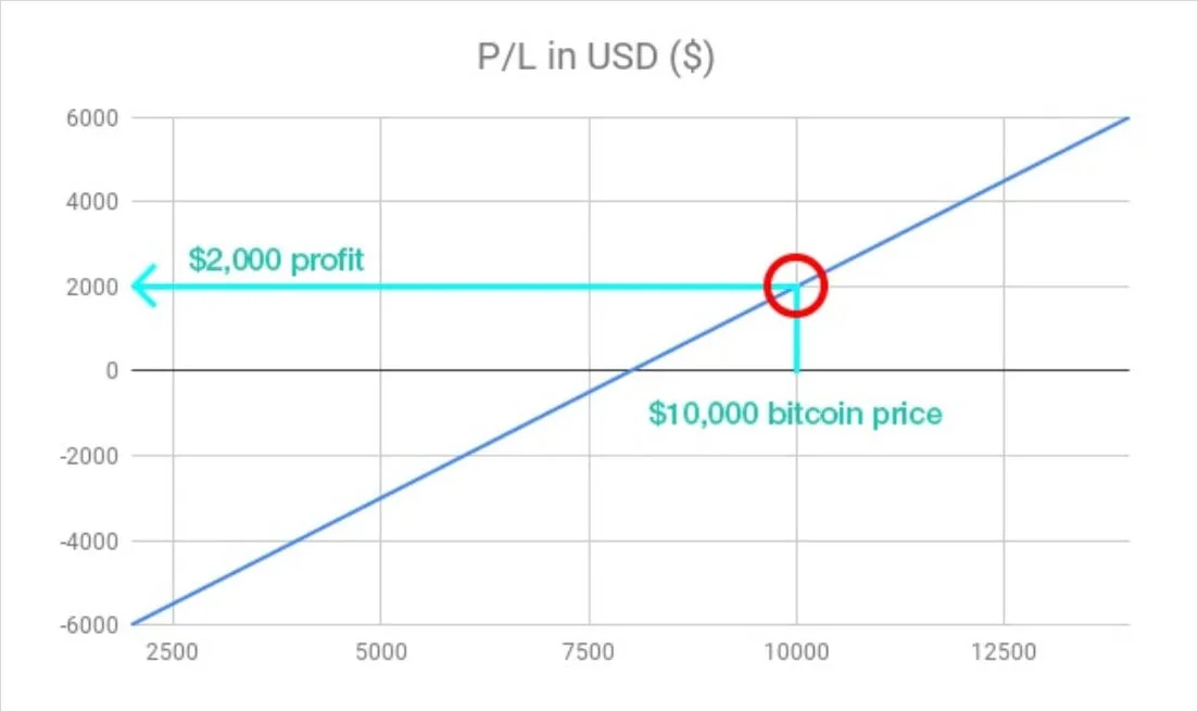 Deribit_Insights - Deribit Inverse Contracts – Calculating Profit in BTC and USD - Image (3/12)