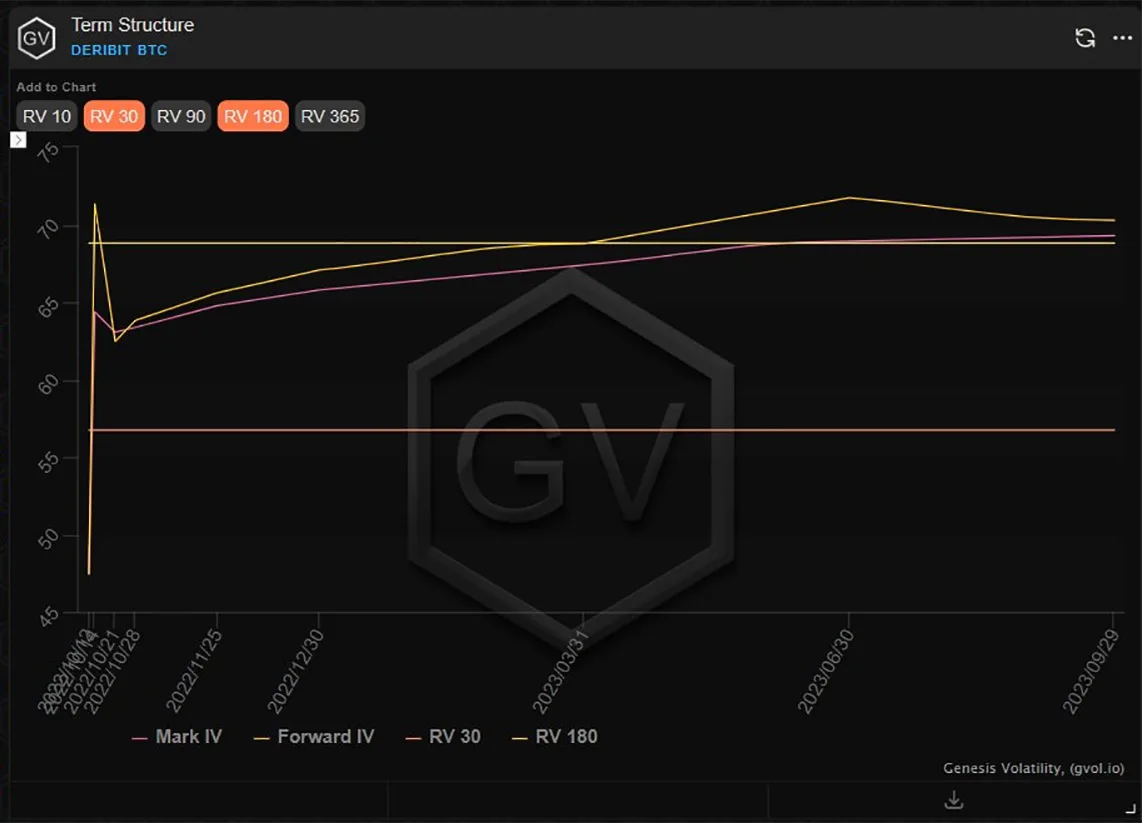 Deribit_Insights - Option Flow – Week 41, 2022 - Image (1/7)