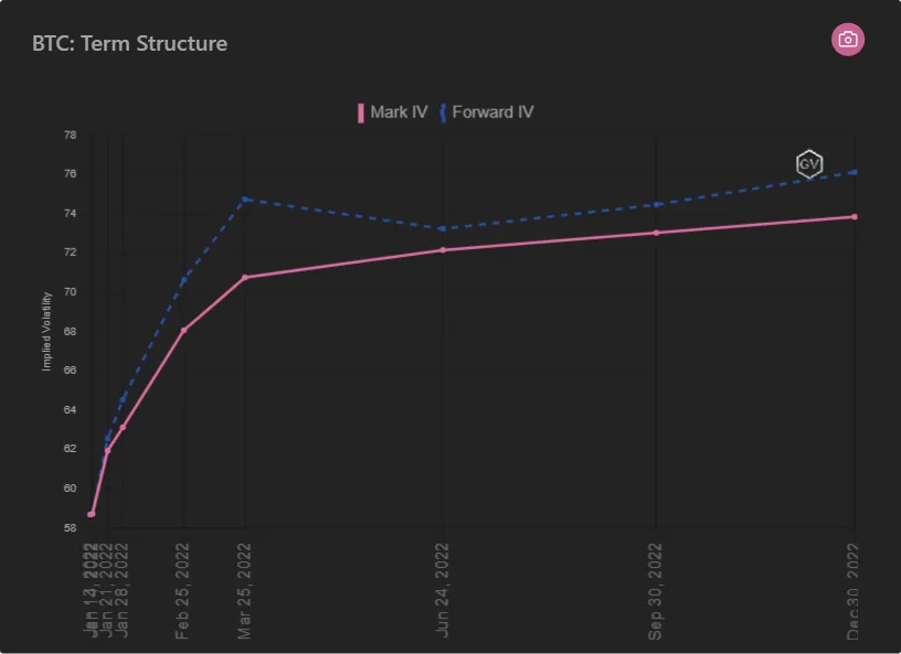 Deribit_Insights - Option Flow – Week 2, 2022 - Image (1/2)