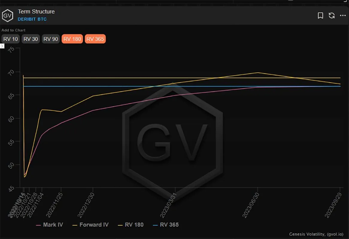 Deribit_Insights - Option Flow – Week 41, 2022 - Image (6/7)