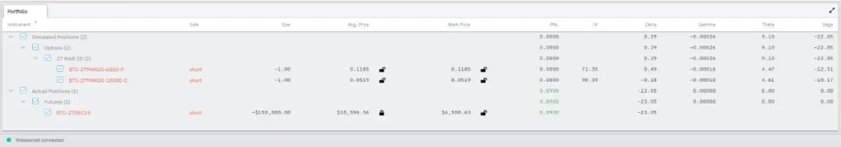 Deribit_Insights - Deribit Position builder - Image (10/10)