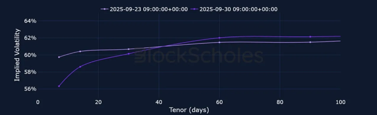 Deribit_Insights - Crypto Derivatives: Analytics Report – Week 40 - Image (11/21)