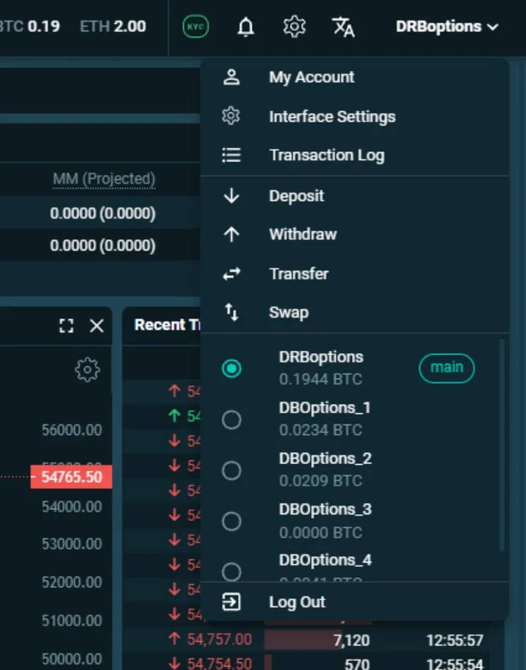 Deribit_Insights - Introducing New User Interface - Image (5/21)