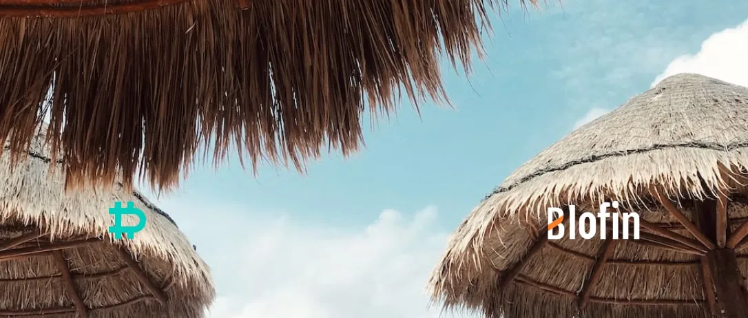 Flow Insights: Summer Vacation and the Ceilings