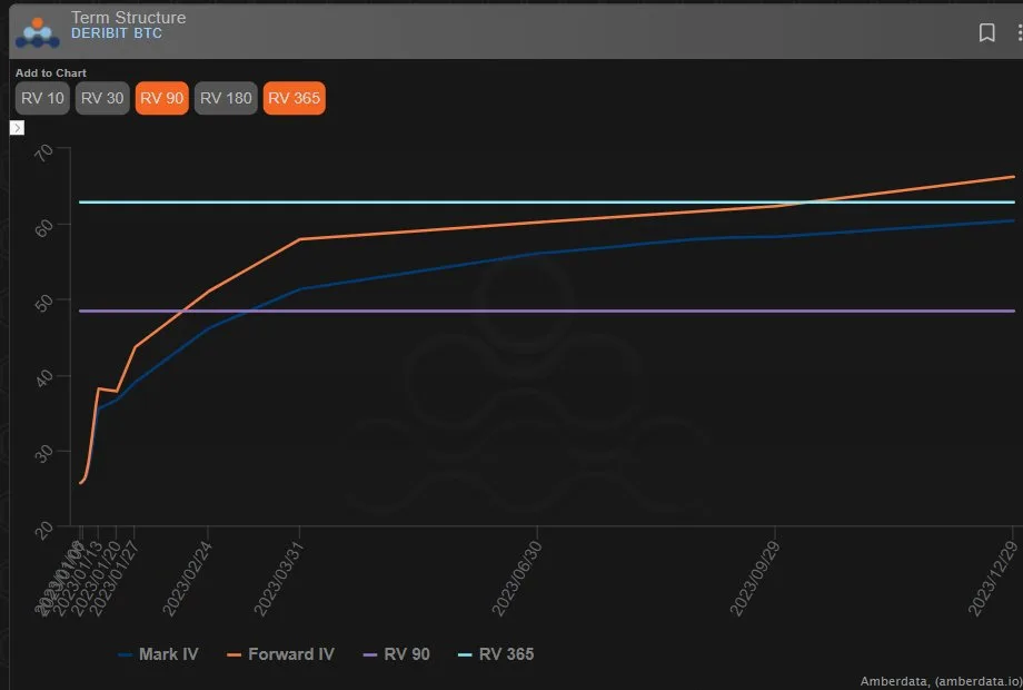 Deribit_Insights - Option Flow: Call Buying Bias - Image (3/4)