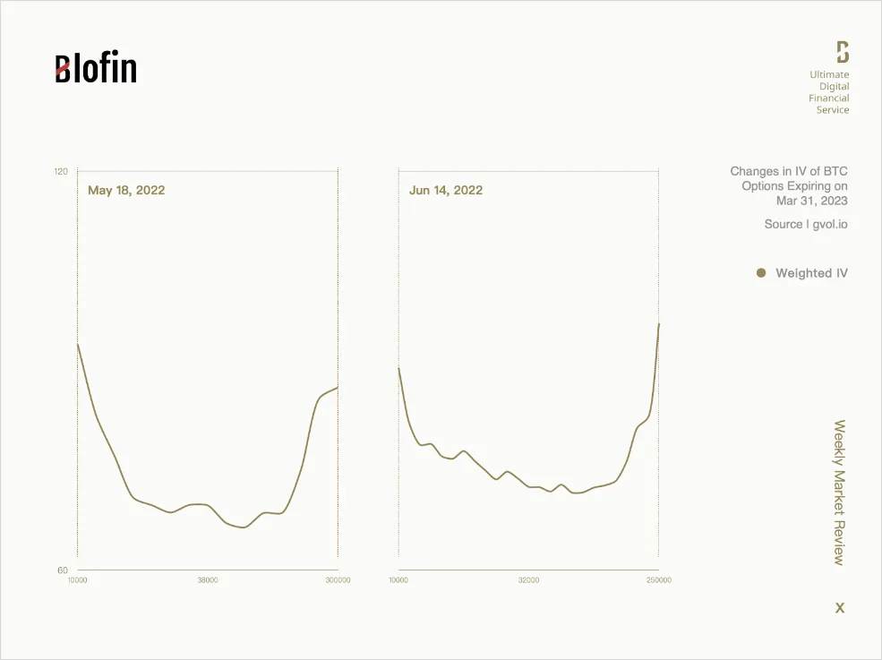 Deribit_Insights - Weekly Market Review From Blofin: Ebb and Flow - Image (9/9)