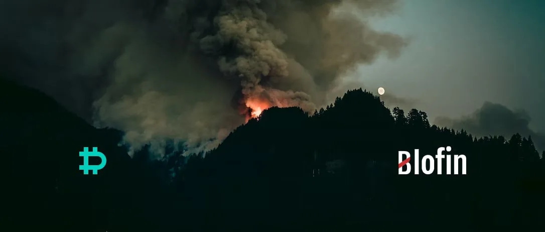 Weekly Market Review From Blofin: The Catastrophe
