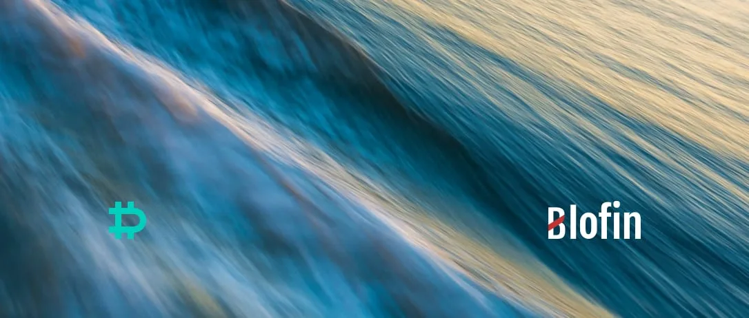 Weekly Market Review From Blofin: Ebb and Flow