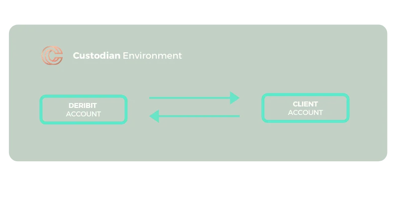Deribit_Insights - Deribit integrates with ClearLoop to offer an instant and frictionless off-exchange settlement - Image (1/2)