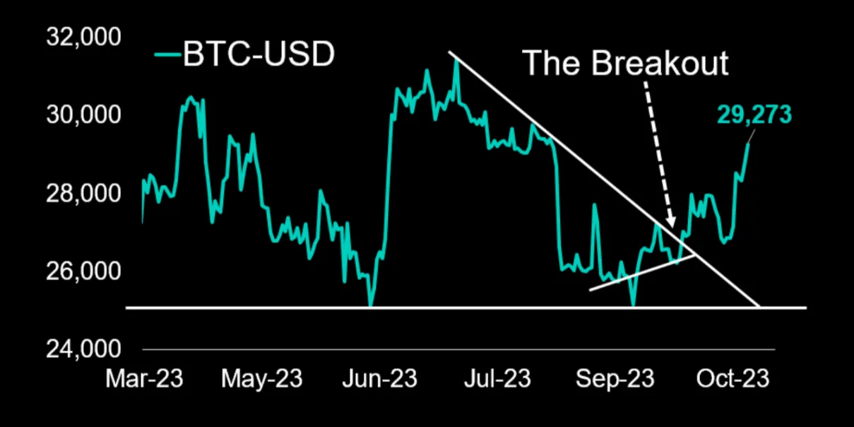 Deribit_Insights - Crypto News: FOMO Is Back! Crypto Traders Are Panicking - Image (1/2)