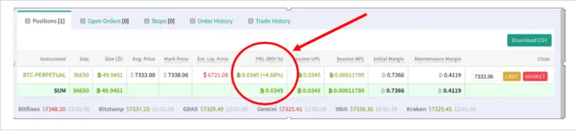 Deribit_Insights - Stop Market Orders, Estimated Liquidation Price and more new features - Image (4/4)