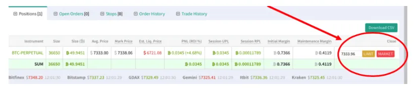 Deribit_Insights - Stop Market Orders, Estimated Liquidation Price and more new features - Image (3/4)