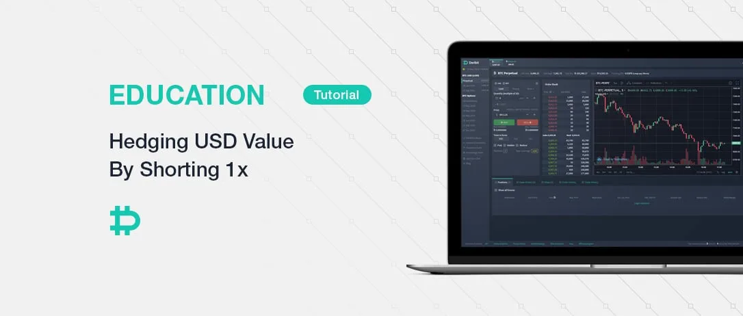 Hedging USD Value By Shorting 1x