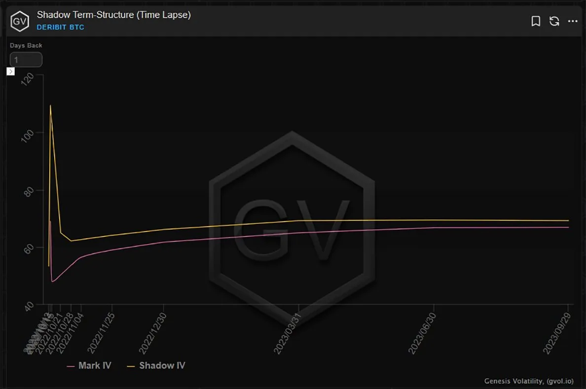 Deribit_Insights - Option Flow – Week 41, 2022 - Image (5/7)