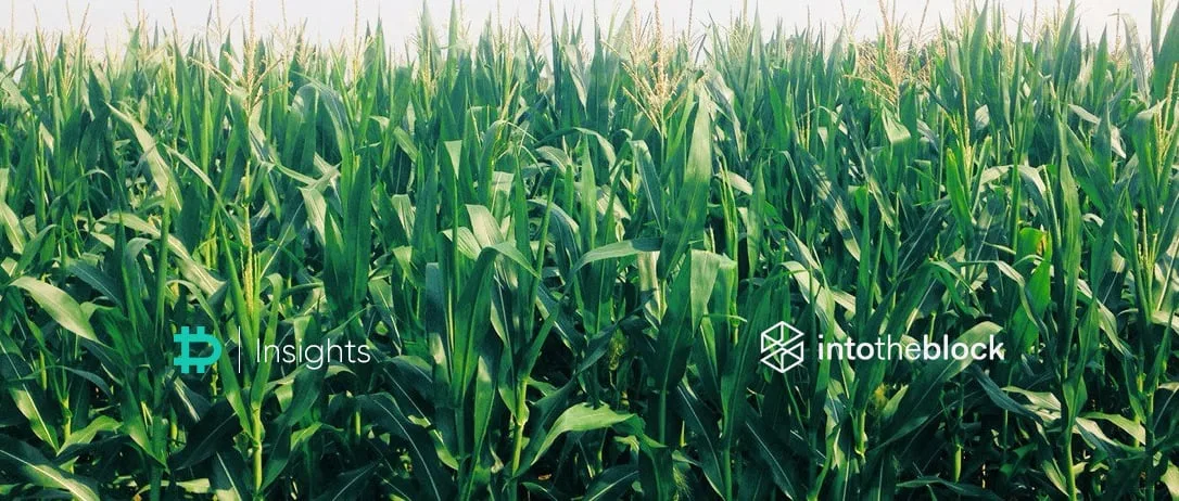 Overview of DeFi’s Growth, Innovation & Risks