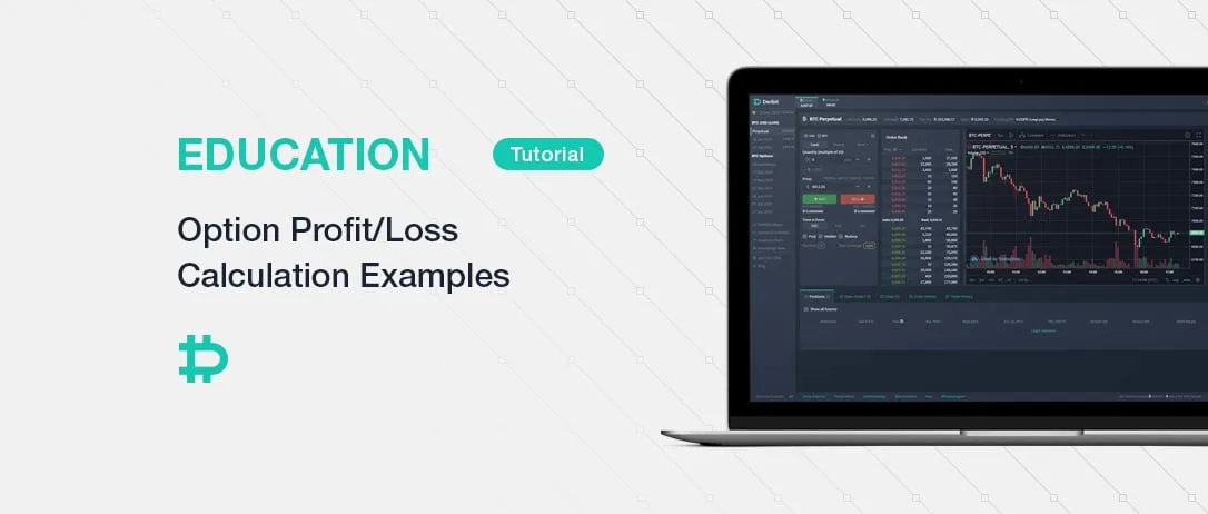 Option Profit/Loss Calculation Examples